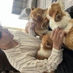 太田諒